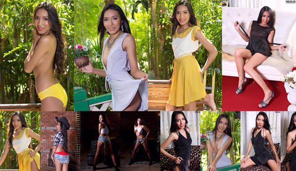 Arianna Totaal 9 Fotoalbums