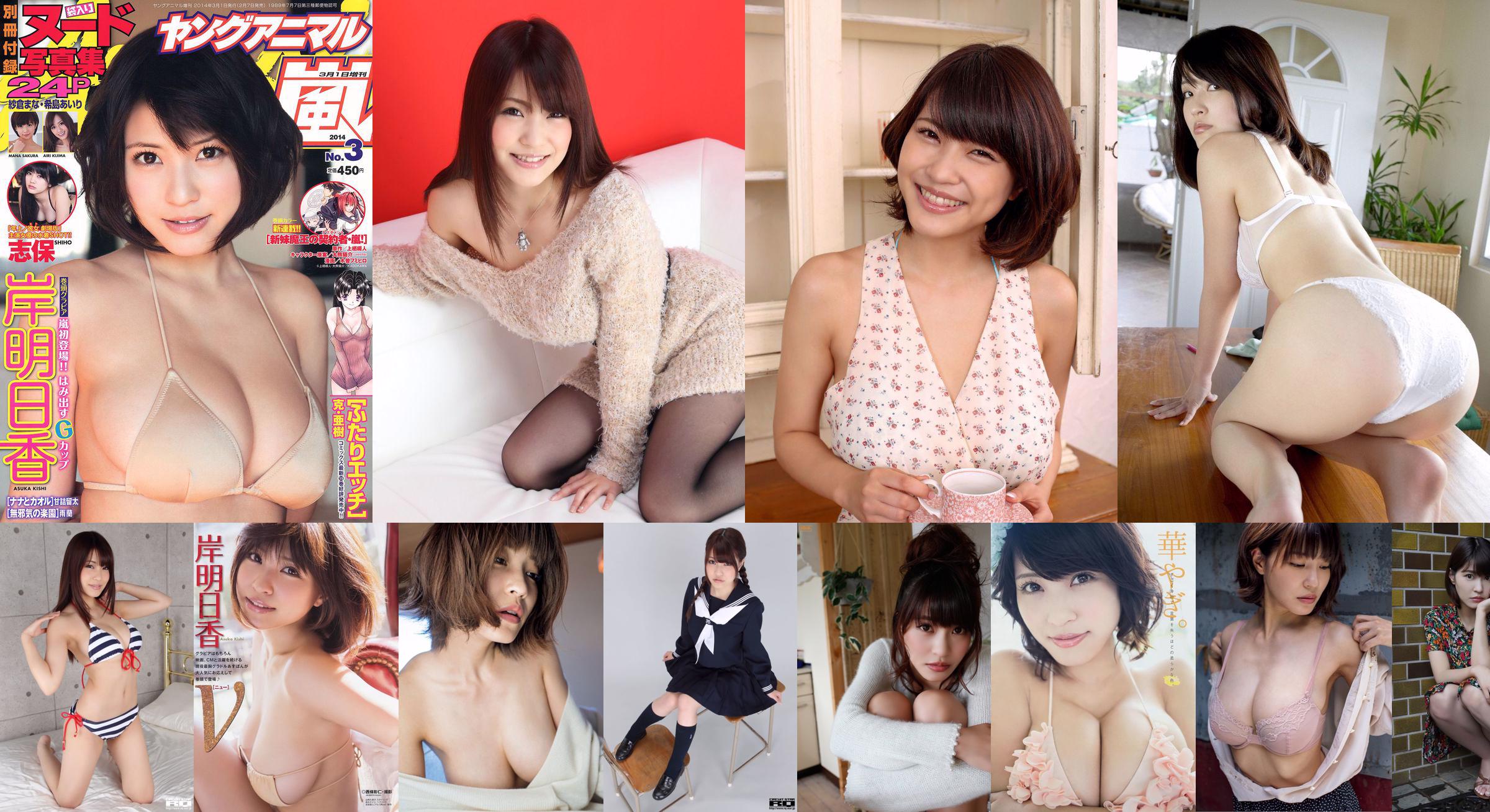 [Tạp chí trẻ] Asuka Kishi Kanna Hashimoto 2014 No.20 Ảnh No.42c325 Trang 1