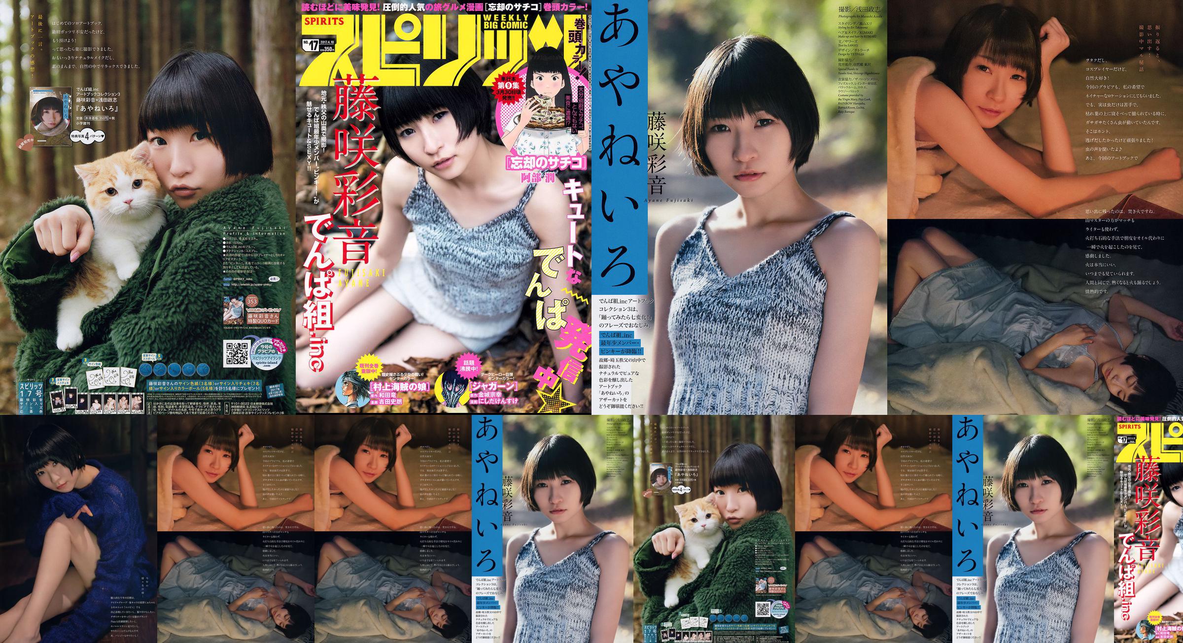 [Wöchentliche große Comic-Geister] Fujisaki Ayane 2017 No.17 Photo Magazine No.dc5175 Seite 1