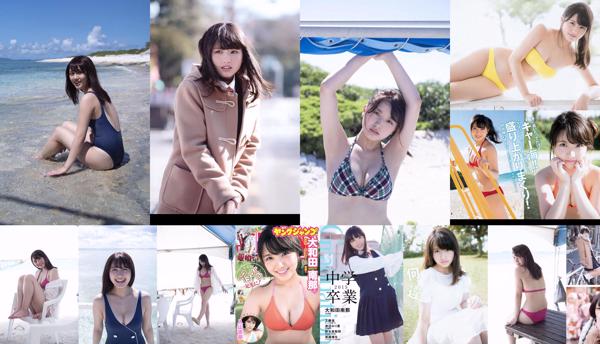 Owada Nana Totaal 4 Fotoalbums