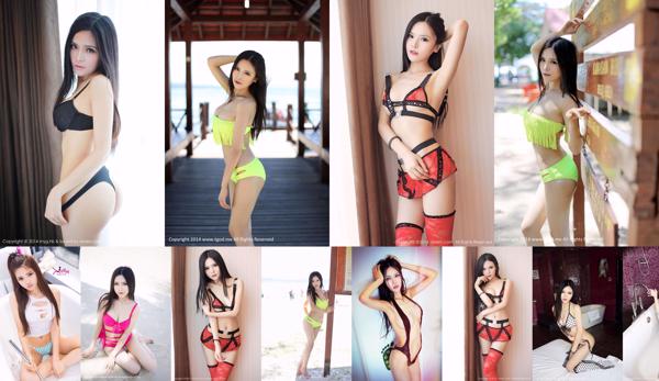 Zhang Meiying Total 10 Photo Albums